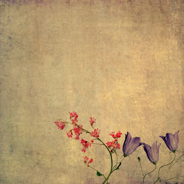 Γήινα υπόβαθρο εικόνα με floral στοιχεία — Φωτογραφία Αρχείου