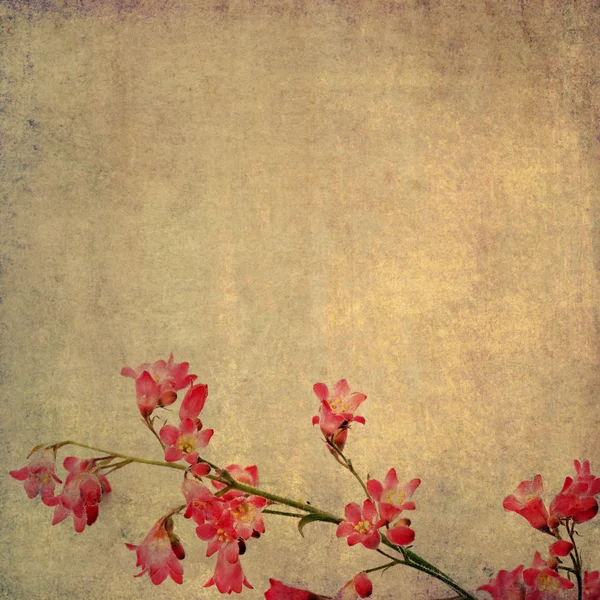 Dünyevi arka plan görüntüsü ile çiçek öğeleri — Stok fotoğraf
