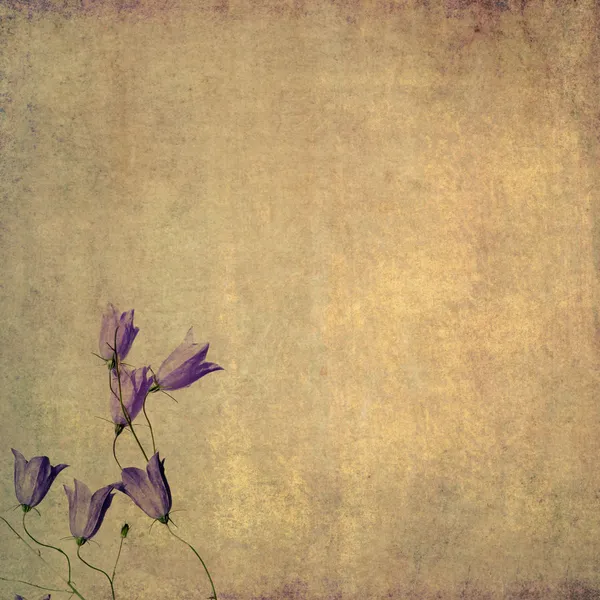 花の要素を持つ素朴な背景画像 — ストック写真