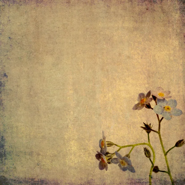 Jordnära bakgrundsbild med blommig element — Stockfoto
