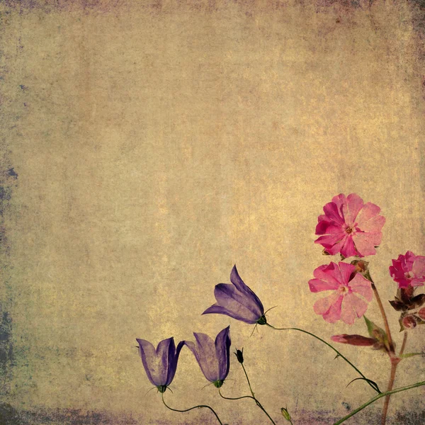 Imagen de fondo terroso con elementos florales — Foto de Stock
