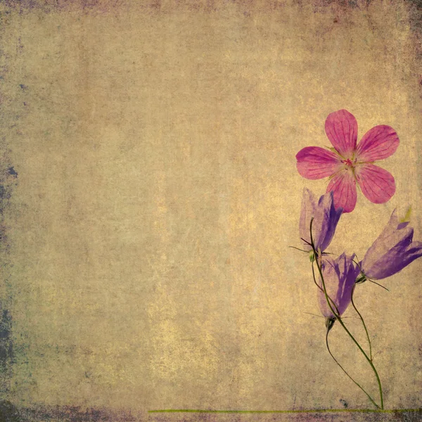 Aardse achtergrondafbeelding met florale elementen — Stockfoto
