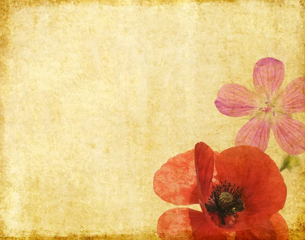 Земляное фоновое изображение с цветочными элементами — стоковое фото