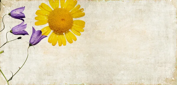 Зображення земного фону з квітковими елементами — стокове фото