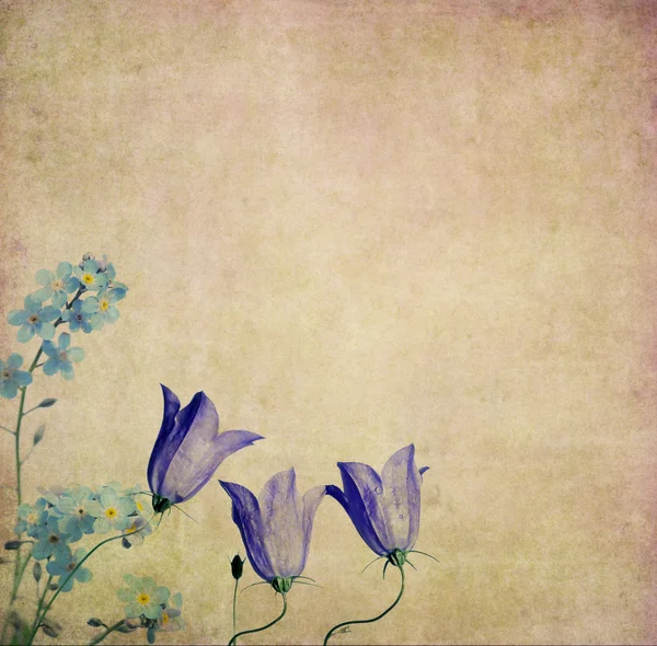 Tekstur latar belakang Earthy dengan elemen floral — Stok Foto
