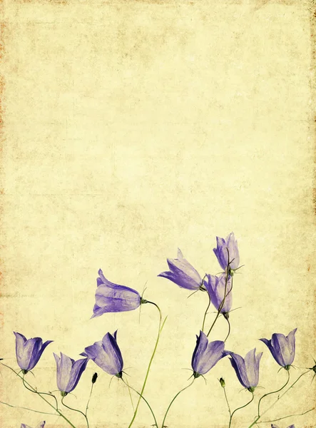 花の要素を持つ素朴な背景テクスチャ — ストック写真