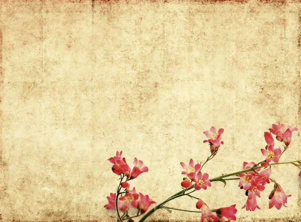 土黄色背景纹理与花卉元素 — 图库照片
