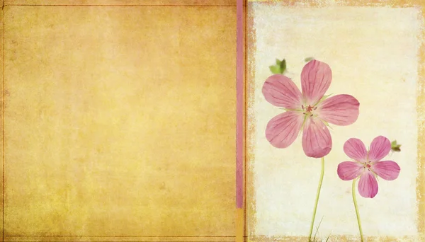 Штучна текстура тла з квітковими елементами — стокове фото