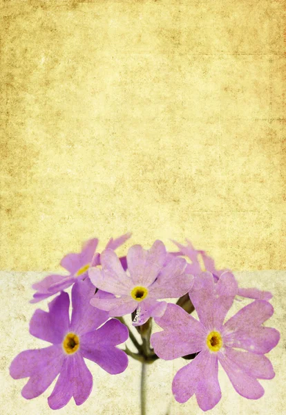 Dejligt baggrundsbillede med blomster elementer - Stock-foto