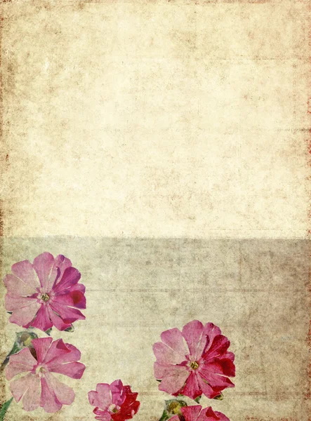 Härlig bakgrundsbild med blommig element — Stockfoto