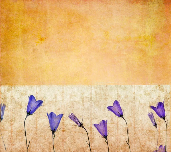 Schönes Hintergrundbild mit floralen Elementen — Stockfoto