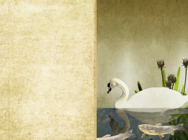 Preciosa imagen de fondo con cisne y elementos florales — Foto de Stock