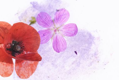 çiçek elemanları ile çok güzel arka plan resmi. kullanışlı tasarım öğesi.