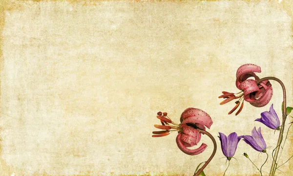 花の要素と素敵な背景イメージです。便利なデザイン要素. — ストック写真