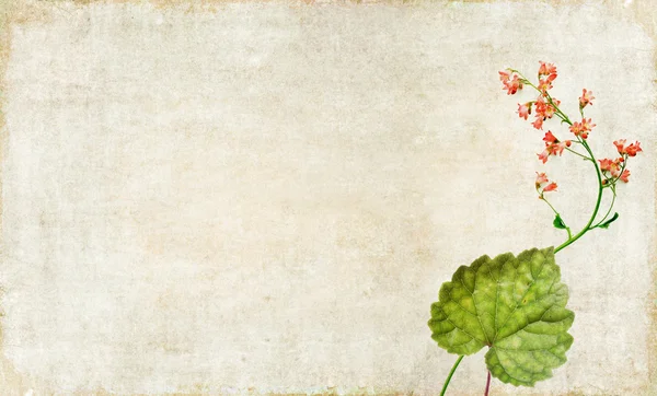 Schönes Hintergrundbild mit floralen Elementen. Nützliches Gestaltungselement. — Stockfoto