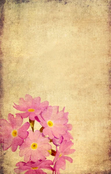 Preciosa imagen de fondo con elementos florales. elemento de diseño útil . —  Fotos de Stock