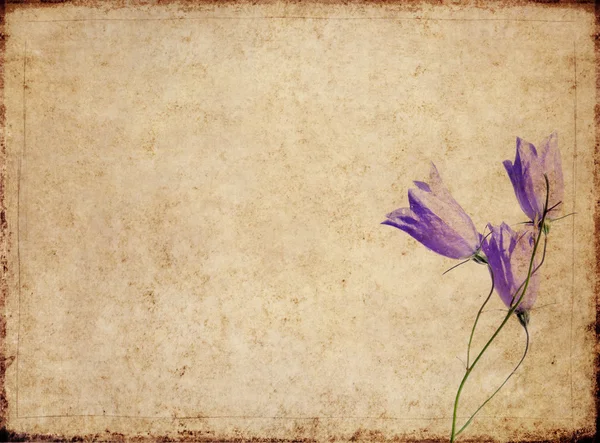 花の要素を持つ素朴な背景イメージです。便利なデザイン要素. — ストック写真