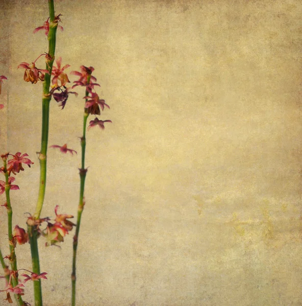 Aardse achtergrondafbeelding met florale elementen. nuttige ontwerpelement. — Stockfoto