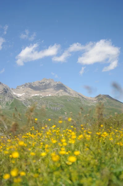 Живописний альпійський ландшафт — стокове фото