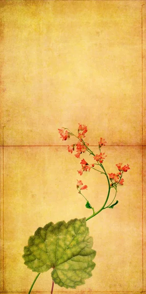 Γήινα floral σχέδιο στοιχείο — Φωτογραφία Αρχείου