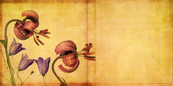 Prvek zemité květinový design s kopií prostor — Stock fotografie