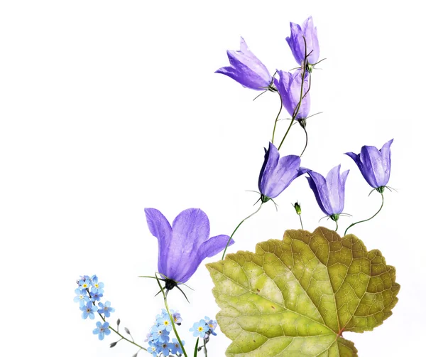 Vibrant spring illustration — Stock Photo, Image