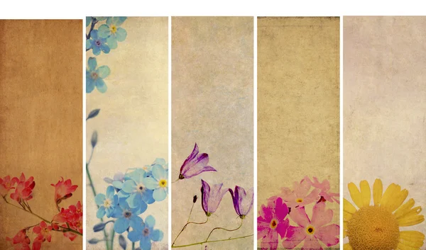 Lovely set of banners with floral elements and earthy textures. useful design elements Royalty Free Stock Photos