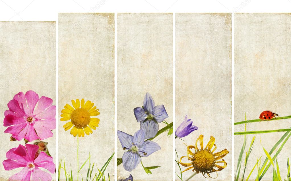 Lovely set of banners with earthy textures. useful design elements
