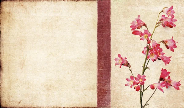 Schönes Hintergrundbild mit floralen Elementen. sehr nützliches Gestaltungselement. — Stockfoto