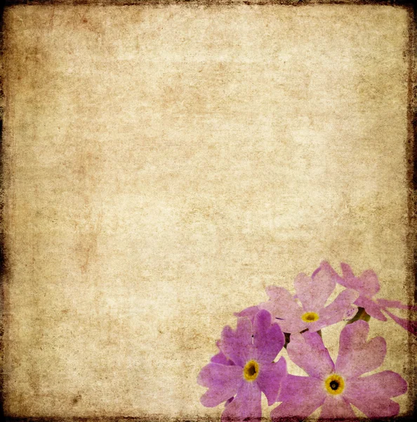 花の要素と素敵な背景イメージです。非常に便利なデザイン要素. — ストック写真