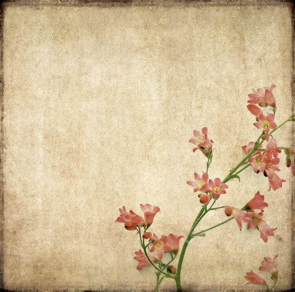 Lovely background image with floral elements. very useful design element. — Stock Photo, Image