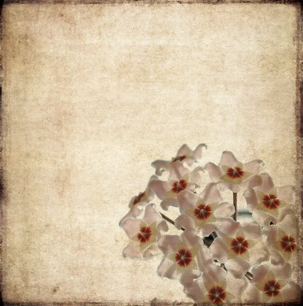 Ωραία φόντο εικόνα με floral στοιχεία. στοιχείο πολύ χρήσιμο σχεδιασμός. — Φωτογραφία Αρχείου
