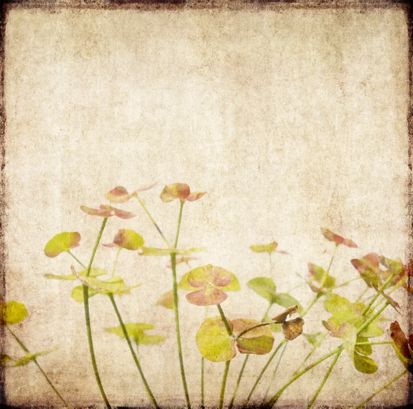 Krásné pozadí obrázek s květinové prvky. velmi užitečný prvek. — Stock fotografie