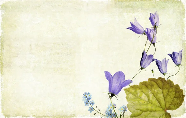 可爱背景图像与花卉元素。非常有用的设计元素. — 图库照片