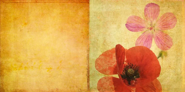 Vibrant floral illustration and design element — Stock Photo, Image