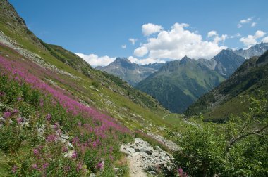 Majestic alpine peyzaj