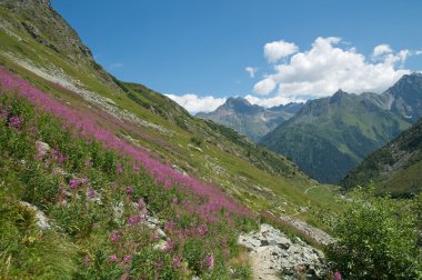 Majestic alpine peyzaj