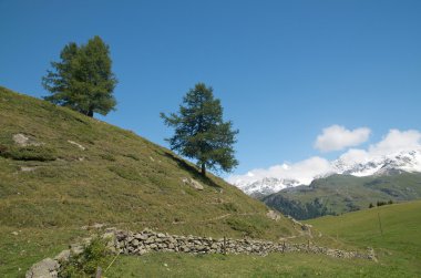 Majestic alpine peyzaj