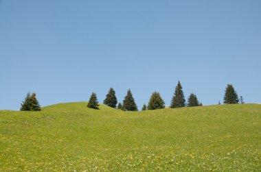 Majestic alpine peyzaj