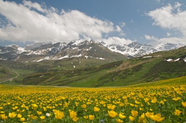 Majestic alpine peyzaj