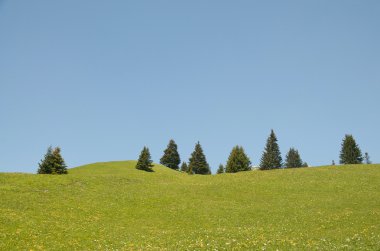 Swiss alpine peyzaj