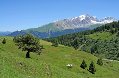 Majestic alpine peyzaj