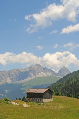 Swiss alpine peyzaj