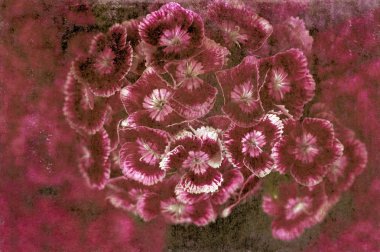 Bahar flora yukarıya kapatmak