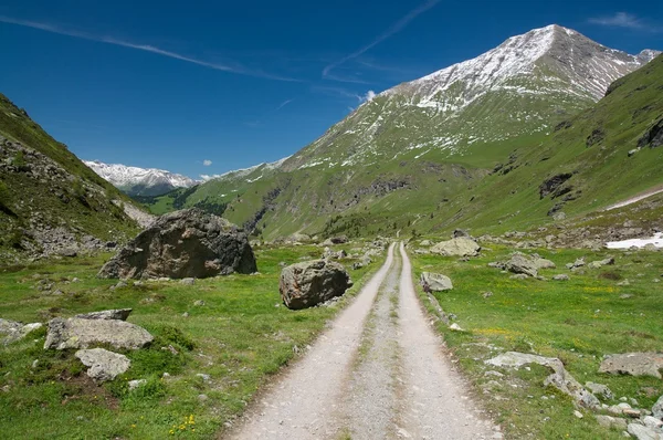 Majestic alpine peyzaj — Stok fotoğraf