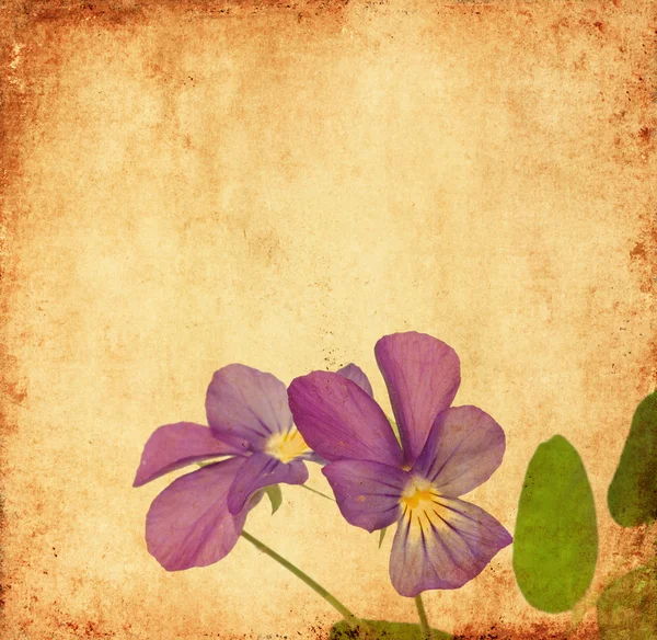 Mooie achtergrondafbeelding met florale elementen. nuttige ontwerpelement. — Stockfoto