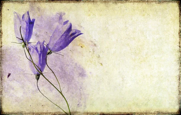 Schönes Hintergrundbild mit floralen Elementen — Stockfoto