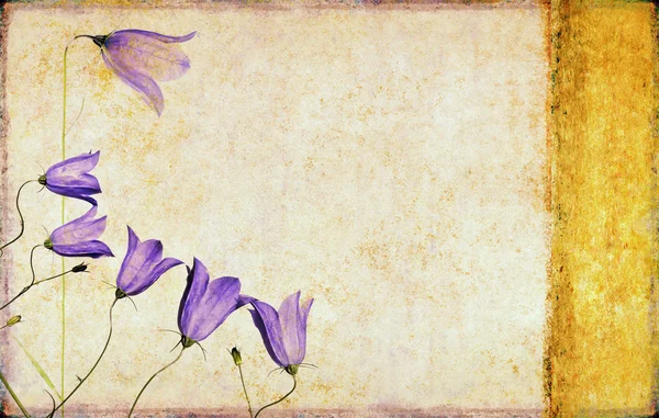 Mooie achtergrondafbeelding met florale elementen — Stockfoto