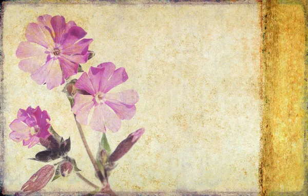 花の要素と素敵な背景画像 — ストック写真