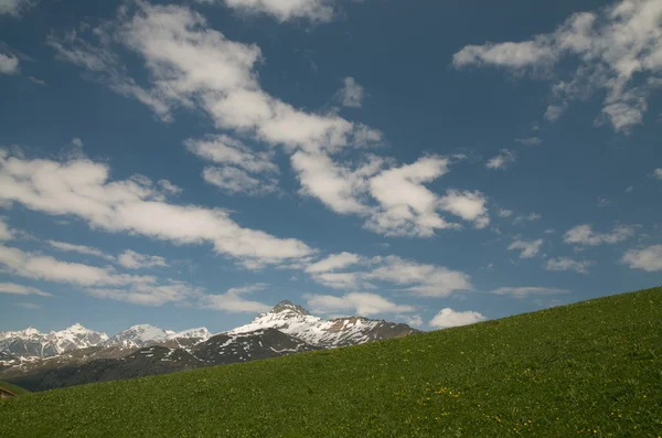 Majestuoso paisaje alpino — Stockfoto